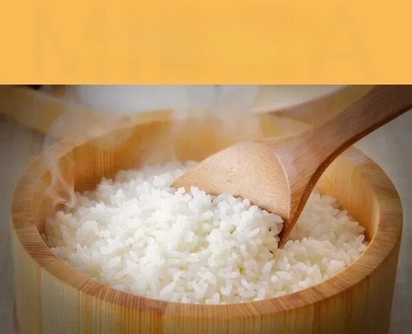 New rice cooker 5L household smart multi-function rice cookerelectric lunch box mini rice cooker - obrazek 2