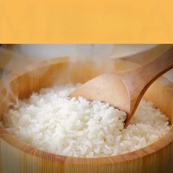 New rice cooker 5L household smart multi-function rice cookerelectric lunch box mini rice cooker