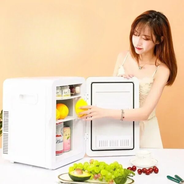 New Mini refrigerator house dormitory student mask cosmetics refrigerated dormitory car home refrigeration refrigerator